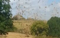 Minitornado z siana