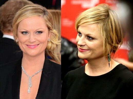 Amy Poehler