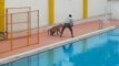 Indijos mokykloje leopardas užpuolė ir sužeidė keturis žmones
