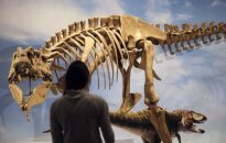 Paleontologai rado ankstyviausio augalėdžių protėvio fosilijų
