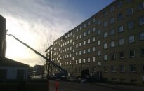 Danijos lietuvis – po uragano: išvirtusių medžių ar nulaužtų šakų net nebeskaičiavau kaip žalos