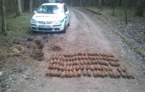 Kazlų Rūdoje, šalia miško keliuko, aptiktas įspūdingas sprogmenų arsenalas