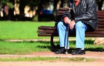 Kaip pensininkas Vilniuje serbentais prekiavo: policija uždėjo antrankius, teismas skyrė baudą