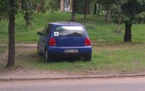 Jaunas vairuotojas, klevo lapas