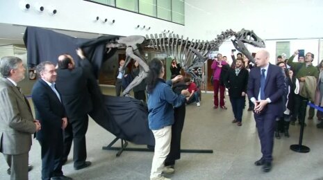 Argentinoje gyvenęs dinozauras stebina itin mažomis priekinėmis galūnėmis