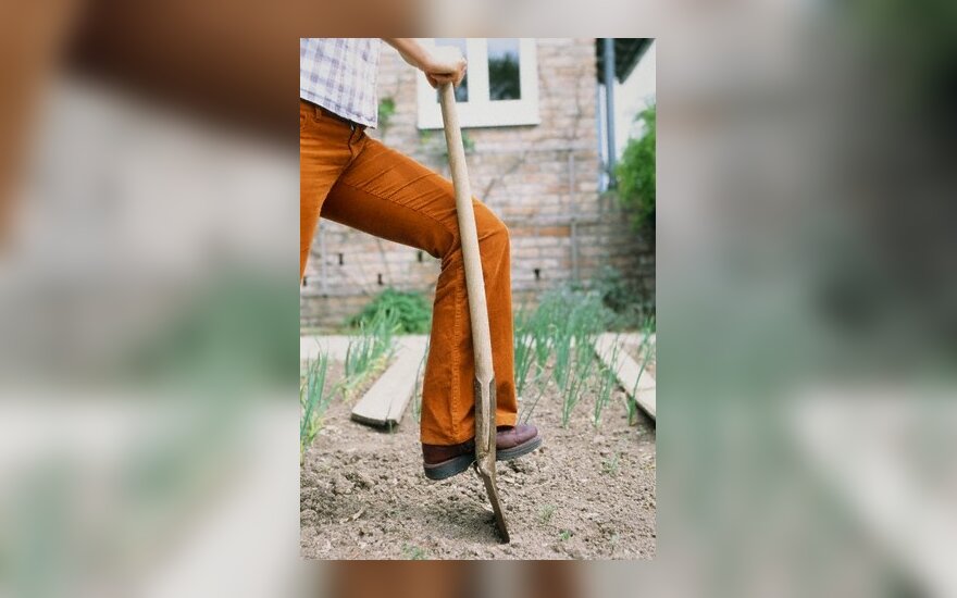 Prancūzijoje aptikti aštuonių naujagimių lavonai