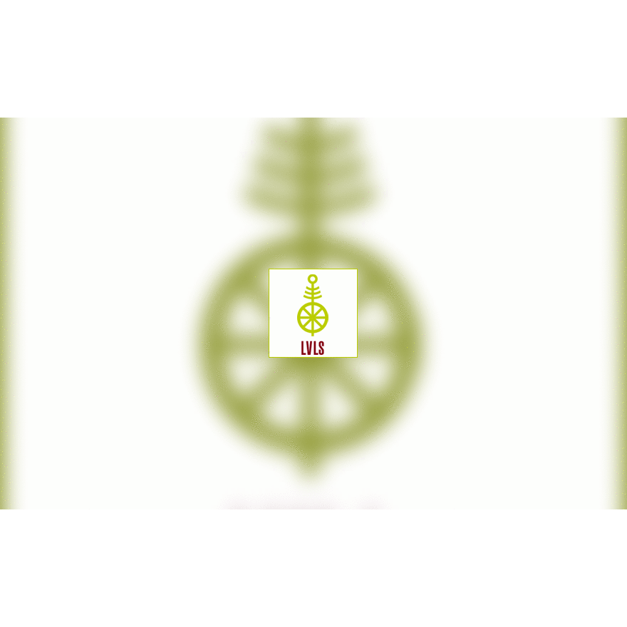 LVLS logo