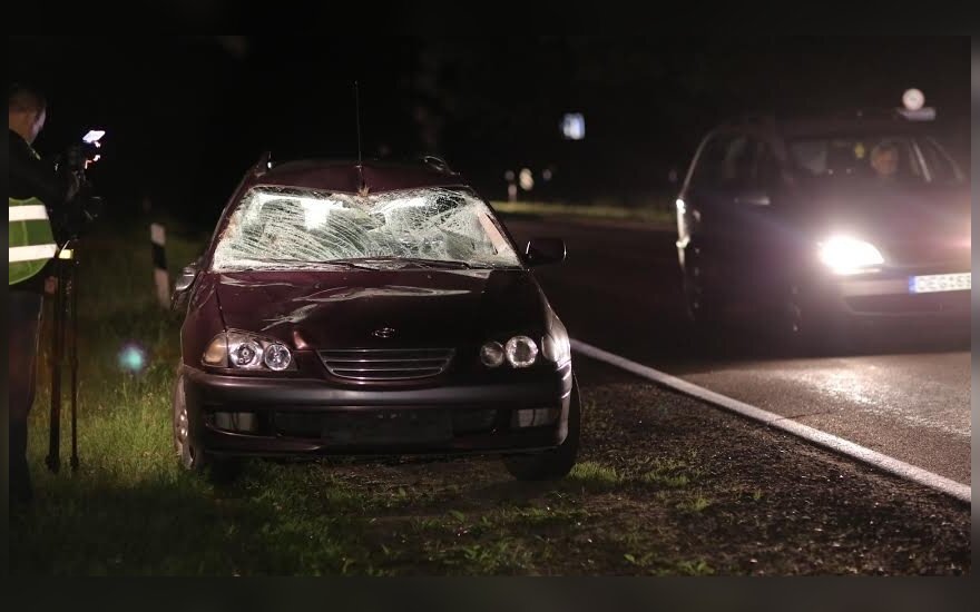 Vilniuje prieš pat automobilį į kelią iššokęs briedis neišvengė smūgio