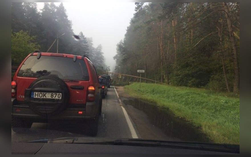 Nulūžęs medis užtvėrė kelią