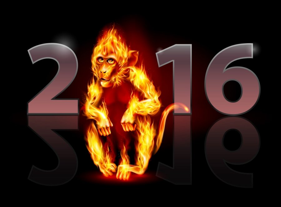 Beždžionės metai 2016