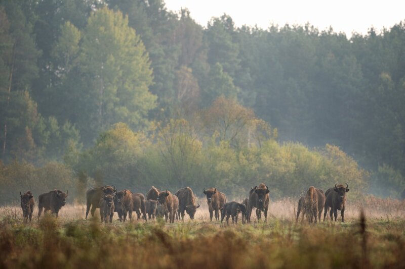 Pirmyn į Musų Kaimynine Salį Cia Verta Vaziuoti Ne Tik Apsipirkti Bet Ir Pamatyti Nepaprasto Grozio Vietų Delfi Vasara