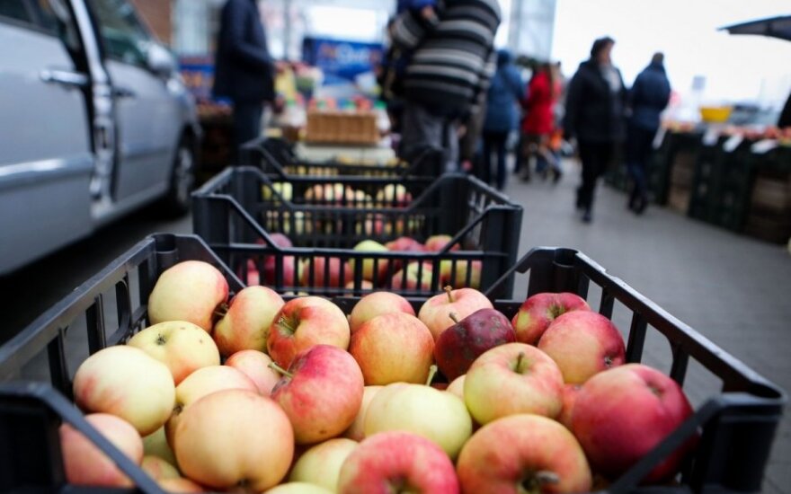 Россия заподозрила Сербию в реэкспорте польских яблок
