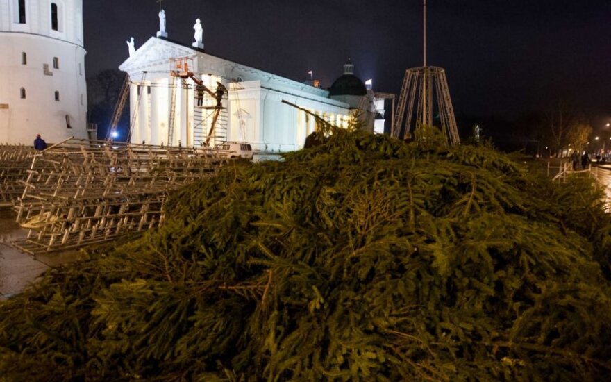 В Вильнюсе на Кафедральной площади устанавливают елку