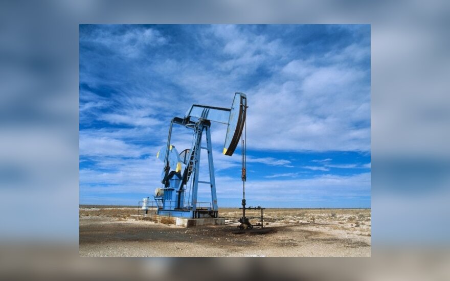 Беларусь вмешалась в поставки нефти в Европу