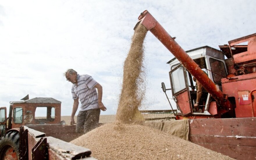 Закупочные цены на зерно в Литве в августе снизились