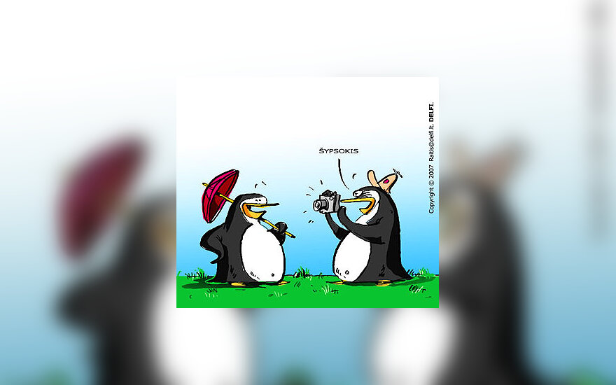 Pingvinai