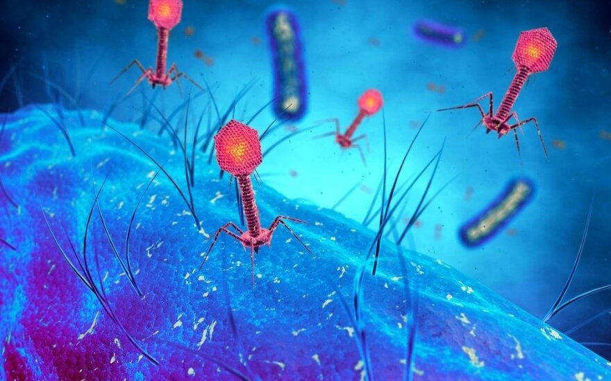 Bakterijas valgantys virusai