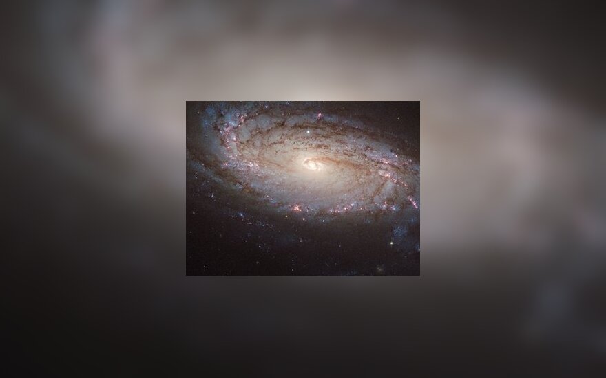 NGC 5806. Фото NASA/Hubble