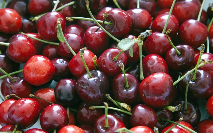 Цены на первые ягоды поражают – 35 евро за килограмм