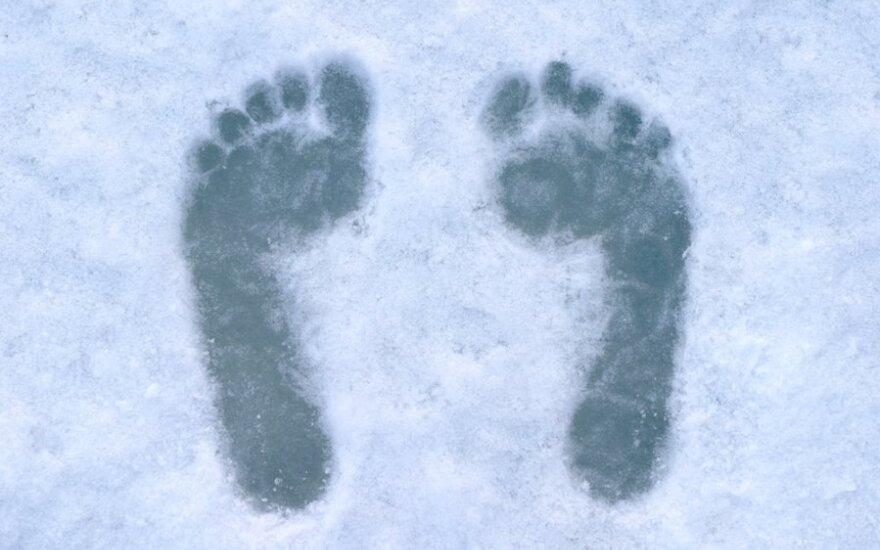 basos kojos sniege