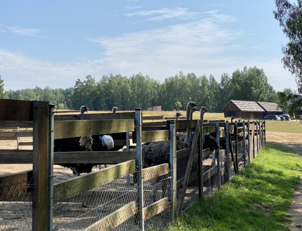 Nornieki rope farm