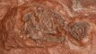 „Moterys moksle“: fosilijų medžiotoja, padėjusi pagrindus paleontologijos mokslui