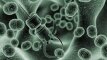 „Mokslo ekspresas“: nanorobotų kūrėjai