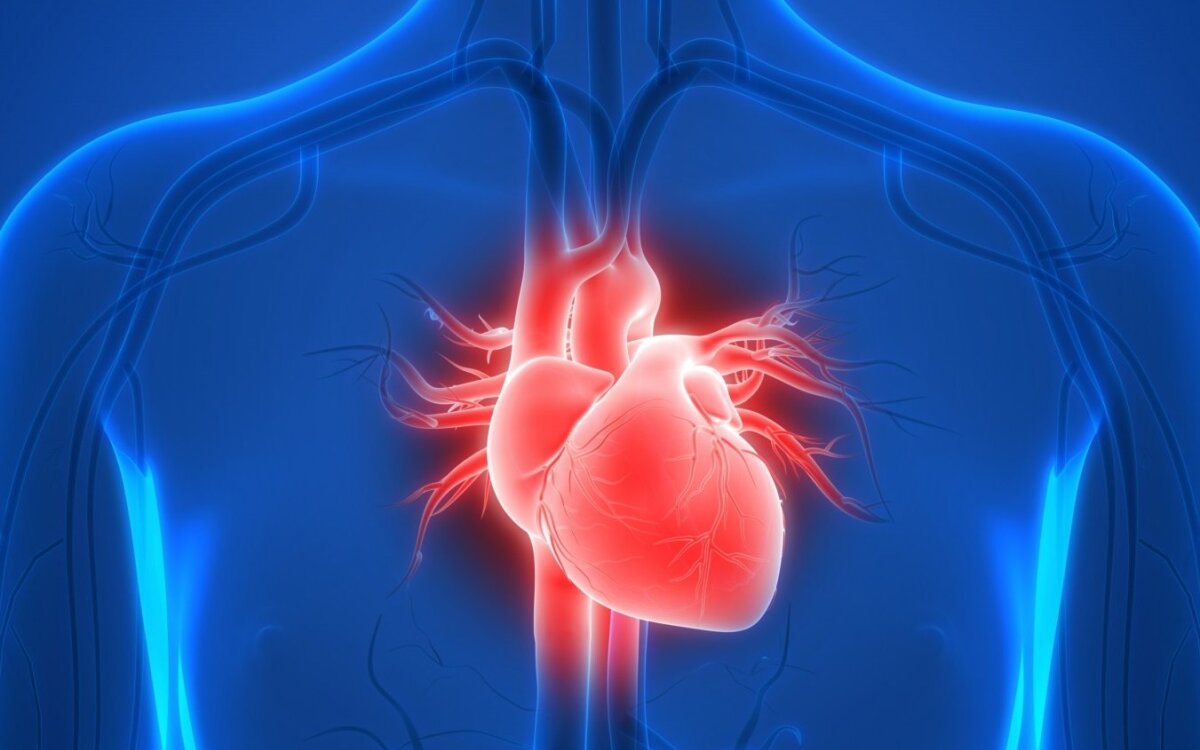 Širdies ritmo sutrikimai – įspėjimas apie būtiną pagalbą | martynofondas.lt