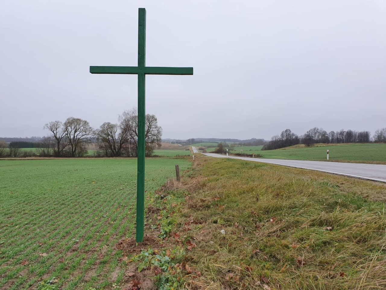 Zaliųjų Kryzių Statytojų Planai į Rajonų Centrus Vaziuos Traktoriais į Prezidentura Trauks Tukstantine Minia Delfi Agro