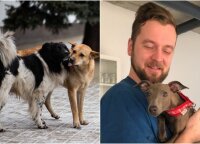 Beglobius Ukrainos gyvūnus gydantis veterinaras Žygimantas: jie jautresni, bet tokie pat mylintys