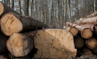 Miškininkai pasirūpina ir vargingai gyvenančiais