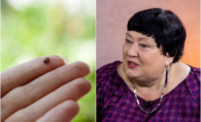 Erkę vadina laimingiausiu sutvėrimu Lietuvoje: entomologė paaiškino, kodėl laiko būti ramūs turime vis mažiau