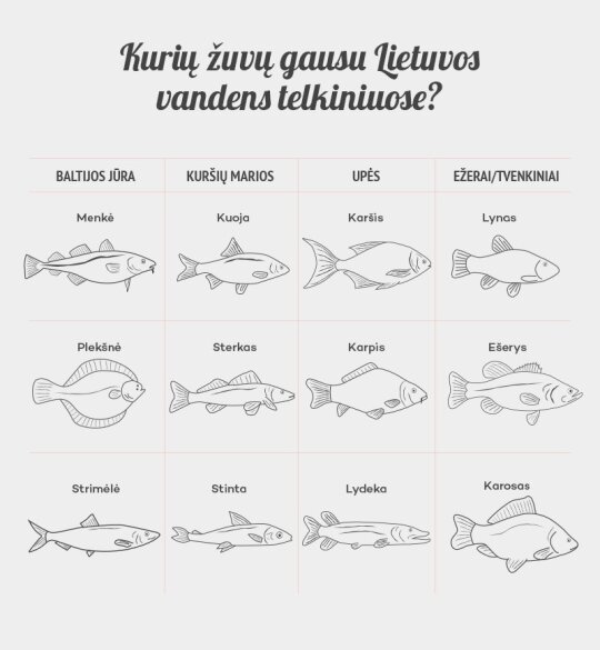 Kokių žuvų gausu Lietuvos vandenyse?