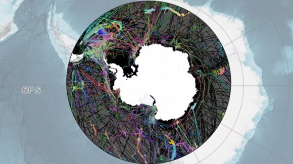 Sudarytas detalus Pietų vandenyno dugno žemėlapis. fivedeeps.com/ googlemaps/scanpix/IBCSOV2/AWI/NIPPON FOUNDATION/SEABED2030 nuotr.