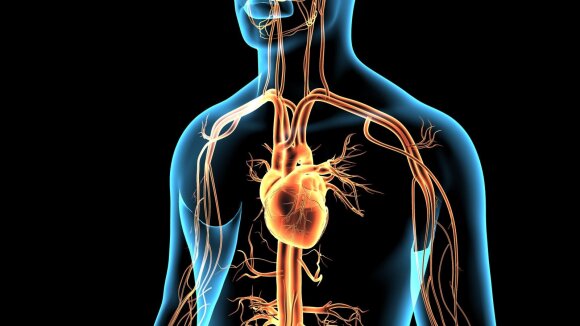 Cardiovascular diseases