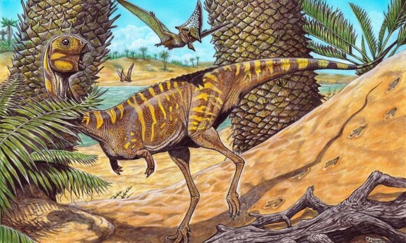 nauja rūšis — pavadinta Berthasaura leopoldinae — turi snapą primenančią burną be dantų. Museu Nacional Brasil/Alves de Souza et al, Nature/Maurilio Oliveira iliustr.