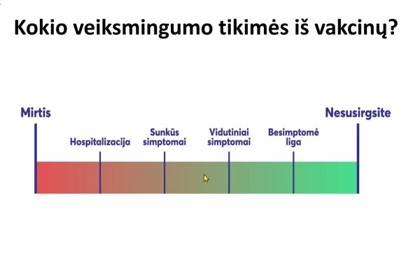 Professor Usonis has taken a firm stance on extending the time intervals between vaccines.