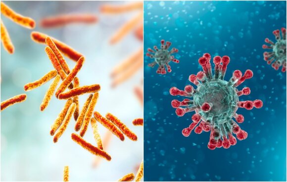 On the left is the bacteria that causes tuberculosis, on the right is the virus that causes COVID-19