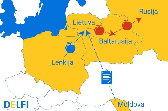 Tarptautinė afera: Lietuvoje demaskuoti iš Rusijos sprendimo besipelnantys sukčiai