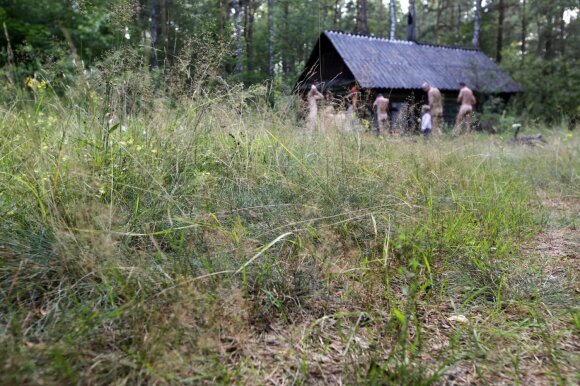 Sauna musteikos