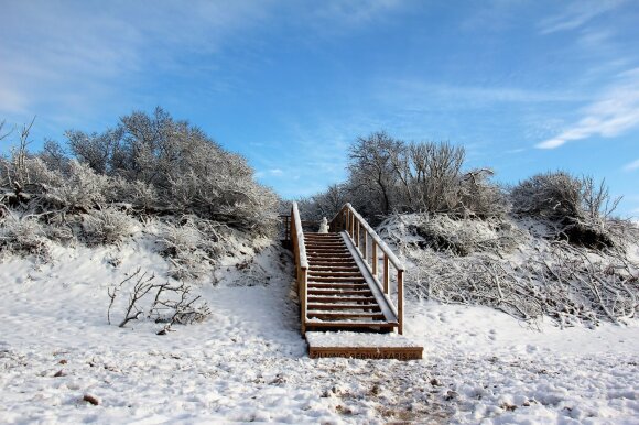 Meteorologists promise a cold February: will the beginning of spring be predicted for the next Badger Day?