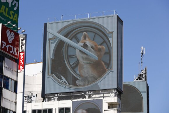 Šuns 3D reklama Tokijuje.