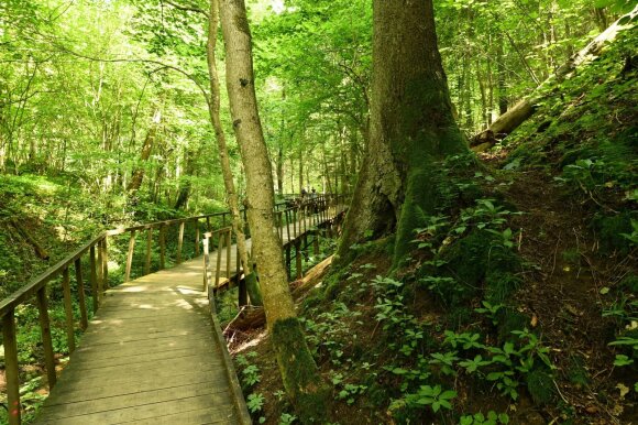 The 10 most beautiful Lithuanian mounds, which will reward an extraordinary landscape