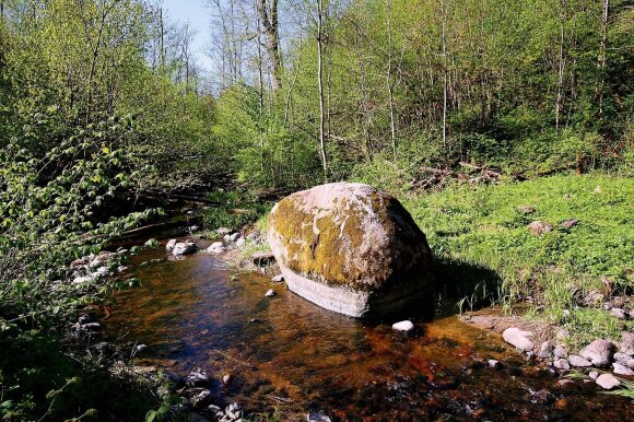 Rožių akmenį Jurkiškio take vietiniai vadina Puntuko vaiku, o geologai – Suomiu