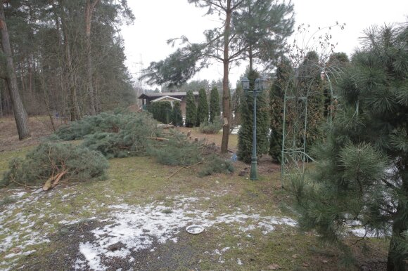 Neighbor conflict in Kaunas district, Smiltynai village