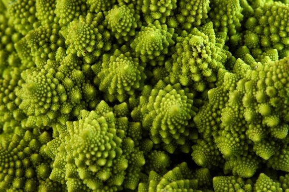 Romanesco