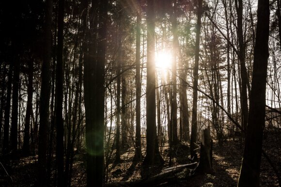 If you turn in the wrong direction on the forest road, you will be fined