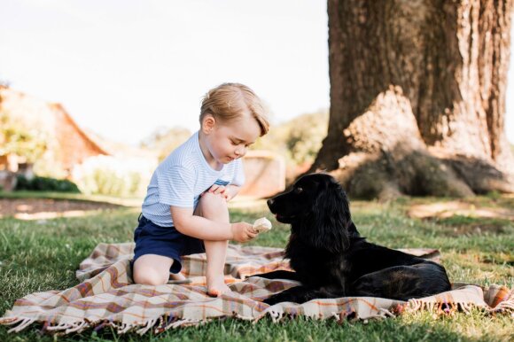 Prince George and the Lupo family dog