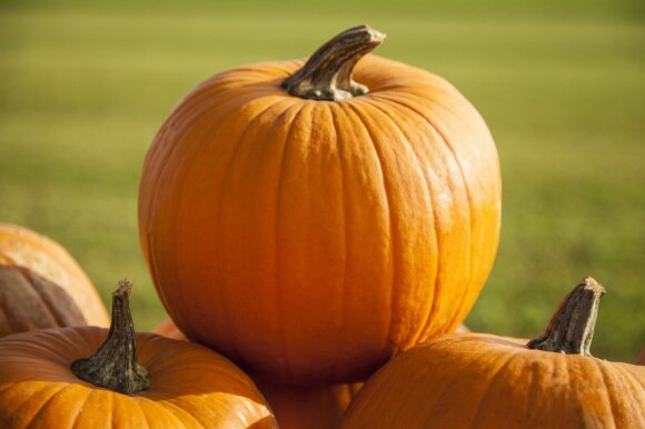 How to use a whole pumpkin without waste