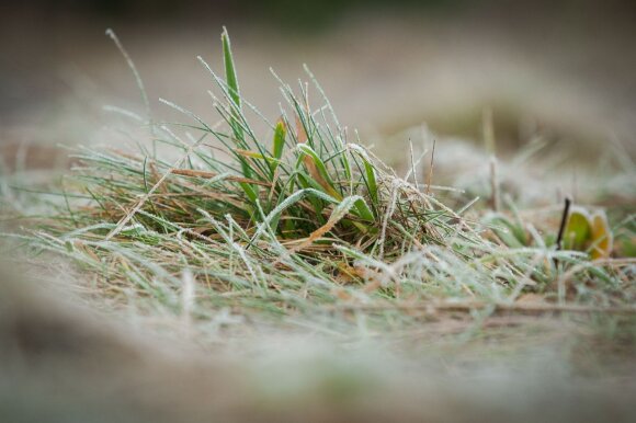 Lithuania's heat will gradually subside: sudden changes await at the end of the week